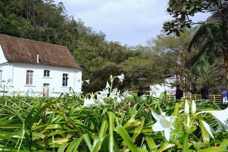 História: Uma hora de Blumenau, do Centro ao Bom Retiro a 200Km/h